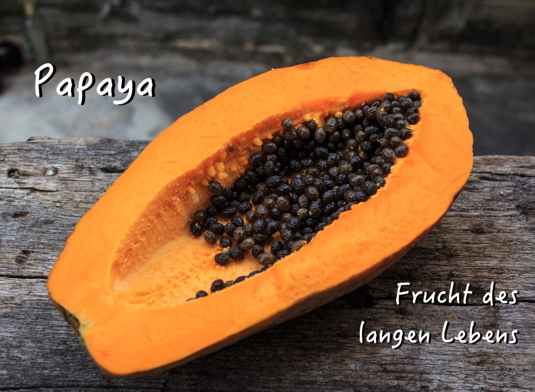 Papaya - Frucht des langen Lebens